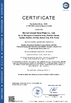 CHINA Wuhan Linmei Head Plate Co., Ltd. Certificações